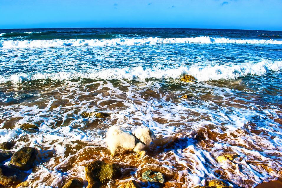 Die San Blas Bay liegt im Norden bei Nadur