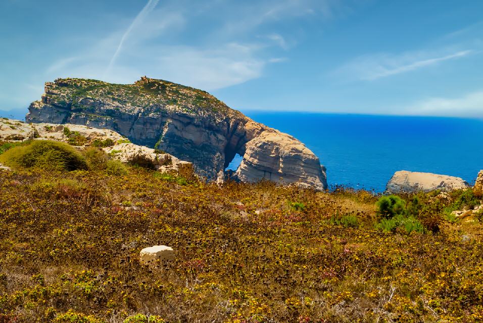 Fungus Rock