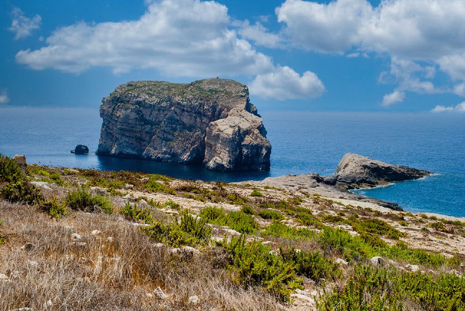 Fungus Rock