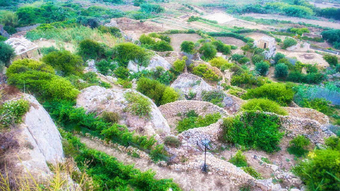 Zebbug terrassierte Landwirtschaft