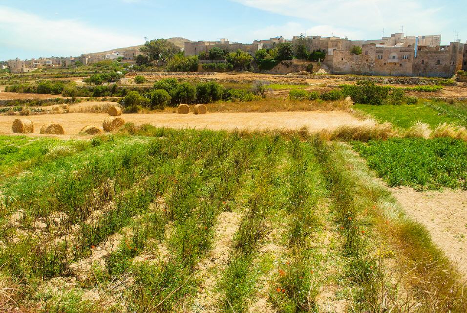 Gharb Landschaft