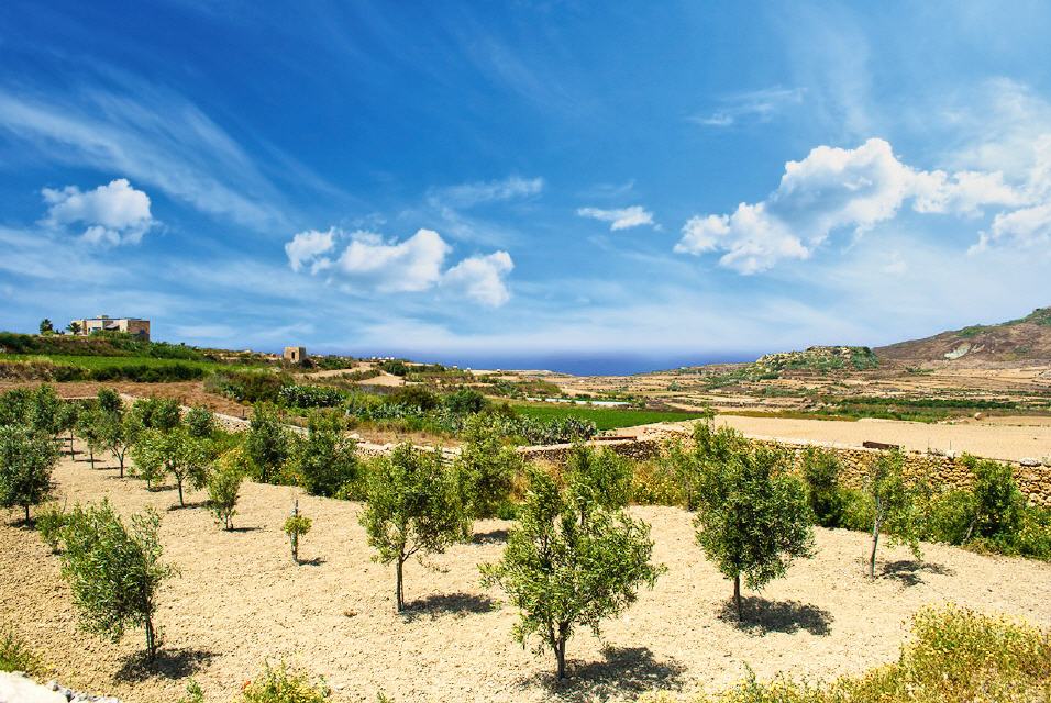 Gharb Sicht auf die Landwirtschaft