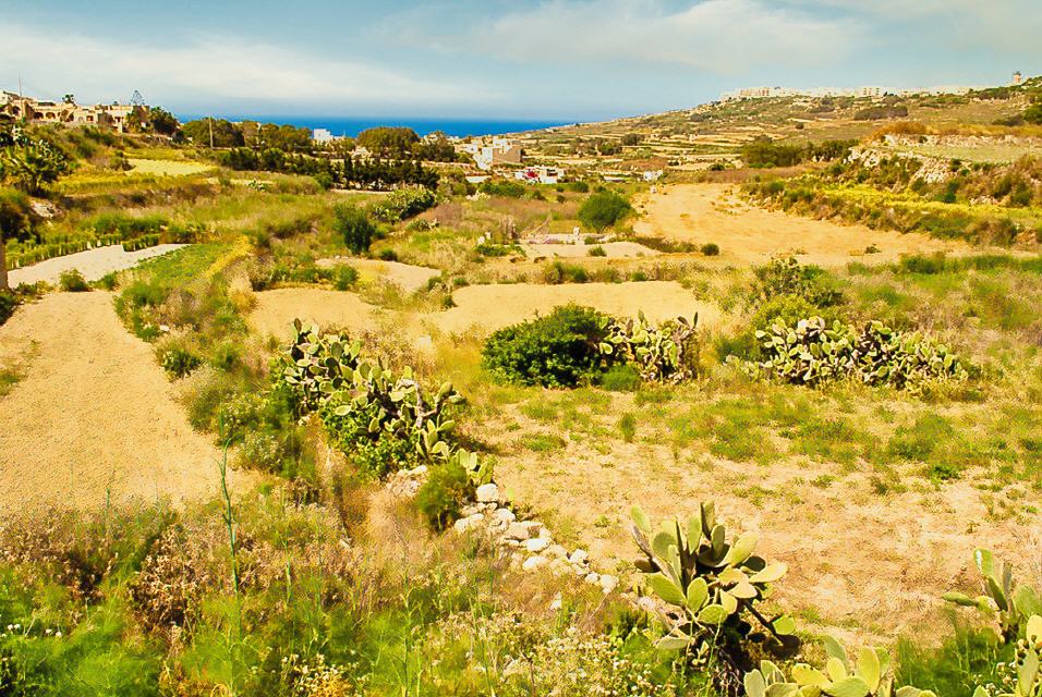 Ghasri Landschaft